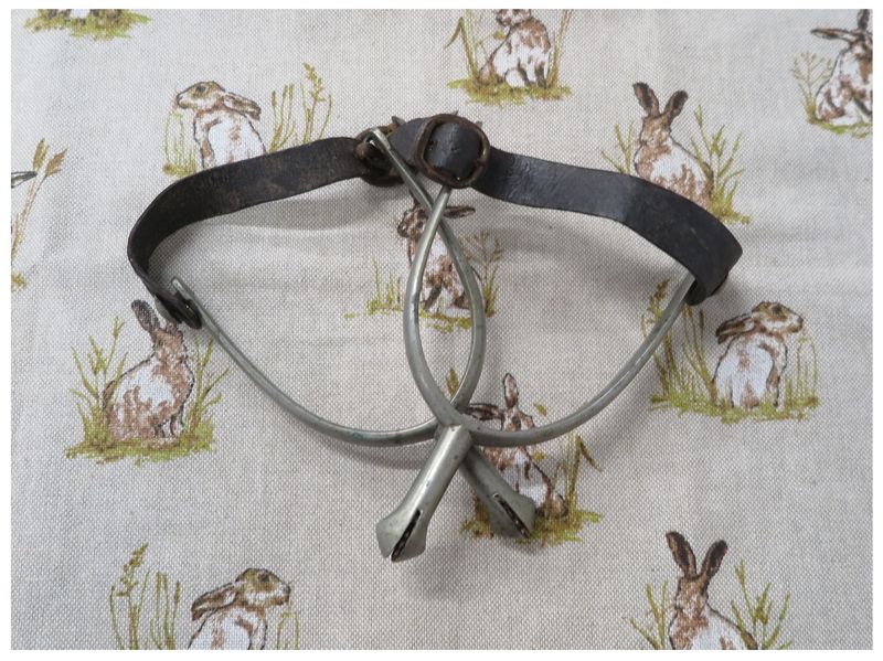 Used Traditional Spurs Used Traditional Spurs