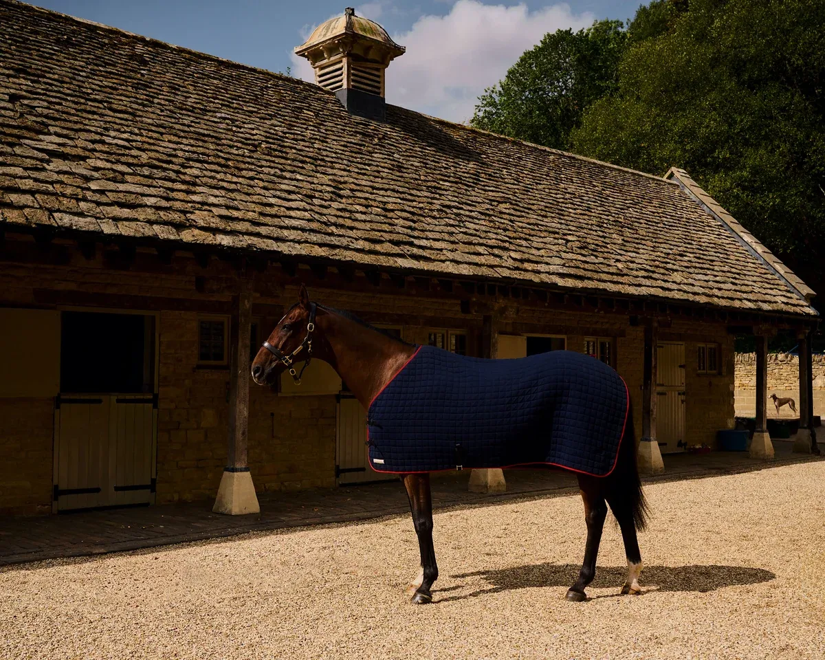 Thermatex Original Cooler Rug
