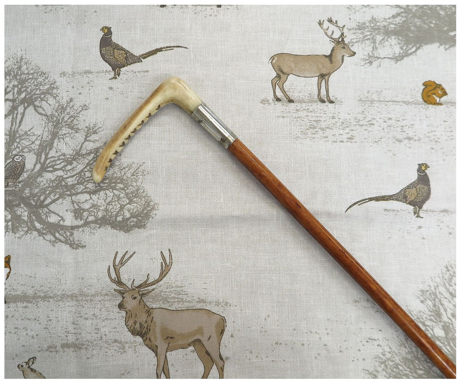 Childs Malacca, Hunting Whip