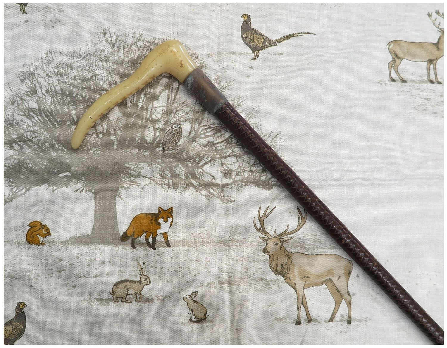 Ladies Swaine, Leather Hunting Whip