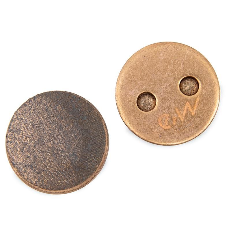 CS001-R pastiglia resina 20mm per Xiaomi - 2 set - in italiano