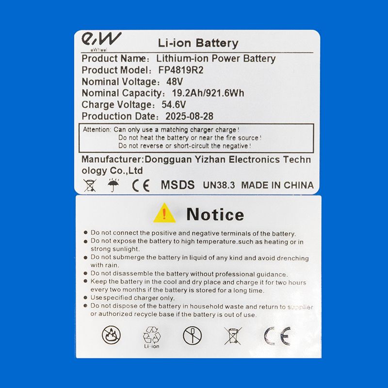 Batteria 48V 19.2 A / h per smartgyro Speedway [Ewheel]