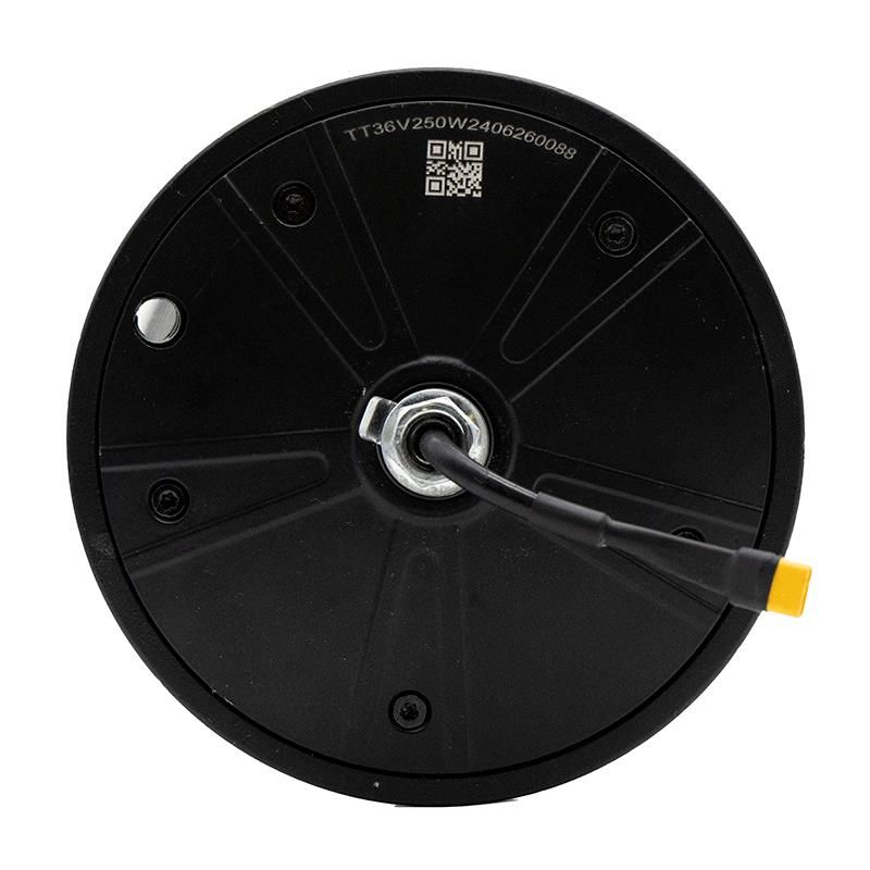 Motore 36v 250W originale Wispeed T850