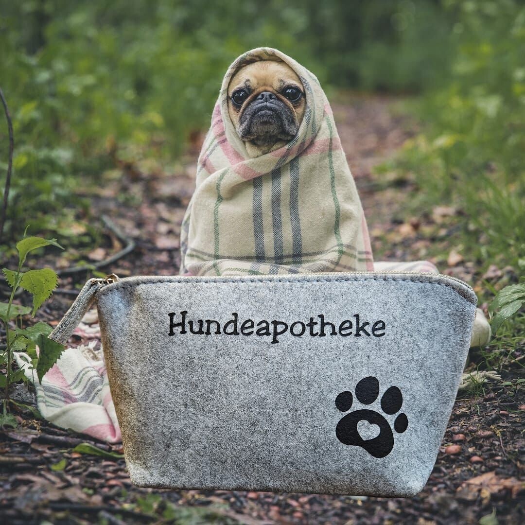 Hundeapotheke Personalisierbar