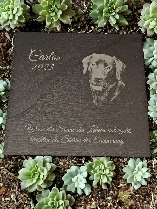 Gedenktafel mit Fotogravur für Tiere