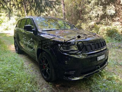 F⭐️IN💲T⭐️RN. SRT8