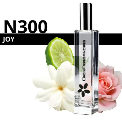 N 300 Joy