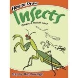 How to Draw Insects
