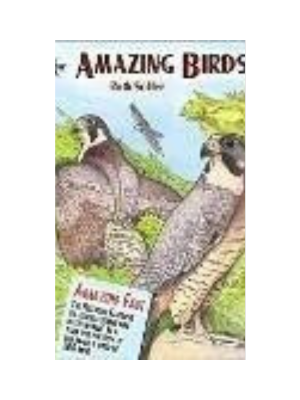Amazing Birds (Coloring Book)