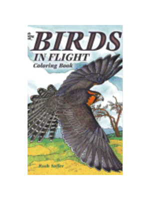 Birds in Flight (Coloring Book)