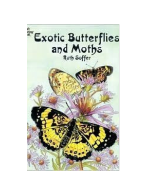 Exotic Butterflies and Moths (Coloring Book)