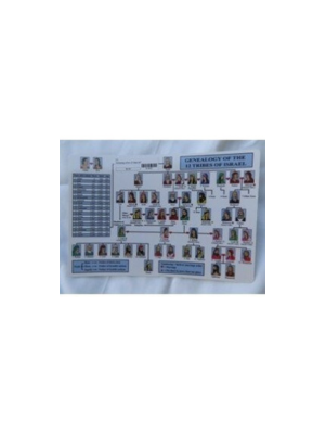 Genealogy of the 12 Tribes 5x7