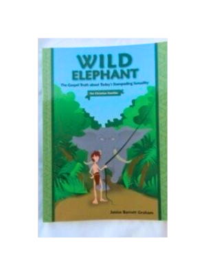 Wild Elephant