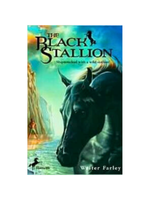 Black Stallion