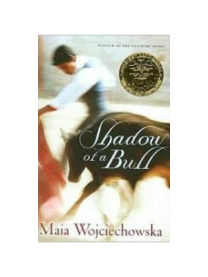 Shadow of a Bull