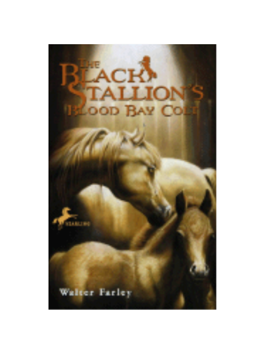 Black Stallion's Blood Bay Colt, The (Black Stallion #6)