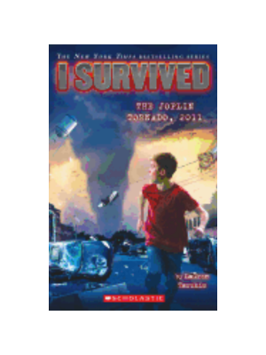 I Survived the Joplin Tornado, 2011 (I Survived #12)