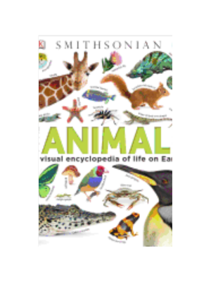 Animal Book, The