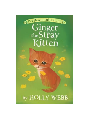 Ginger the Stray Kitten