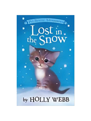 Lost in the Snow