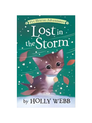 Lost in the Storm