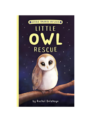 Little Owl Rescue