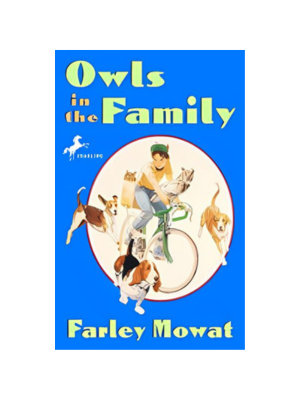 Owls in the Family