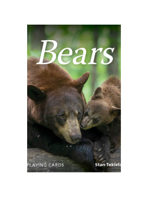 Bears Playing Cards