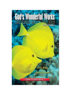 God's Wonderful Works (2nd Edition) - Grade 2