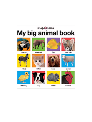 My Big Animal Book
