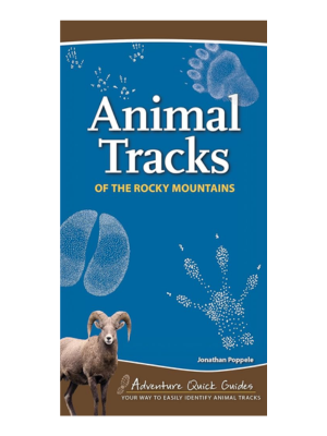 Animal Tracks of the Rocky Mountains