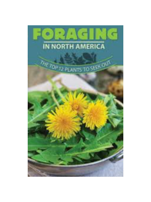 Foraging in North America