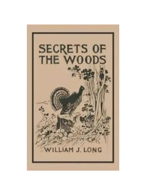 Secrets of the Woods