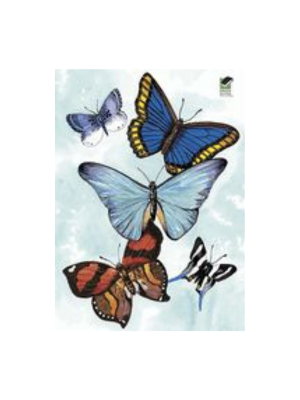 Butterfly Notebook (Dover Mini)