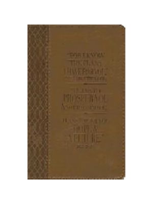 Journal - I Know the Plans (Brown Leather)