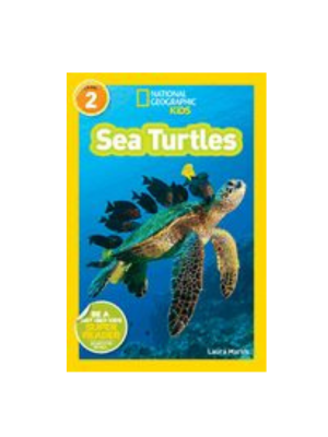 Sea Turtles