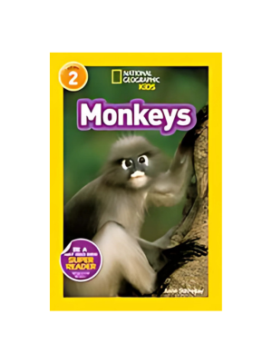 Monkeys