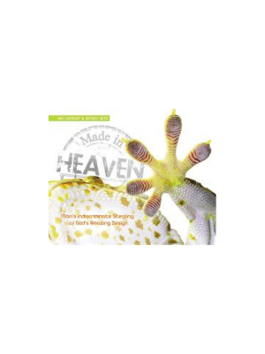 Made in Heaven