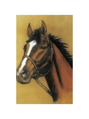 Horse Notebook