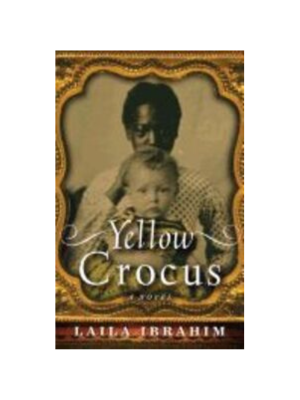 Yellow Crocus