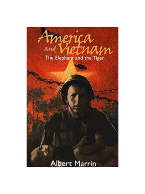 America and Vietnam