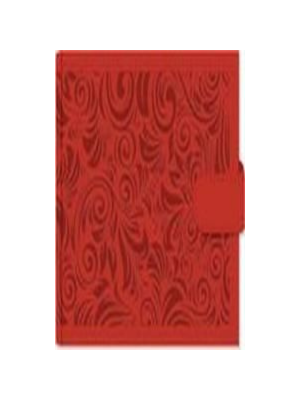 Photo Album Raspberry