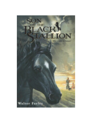 Black Stallion #3: Son of the Black Stallion