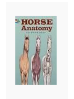 Horse Anatomy (Coloring Book)