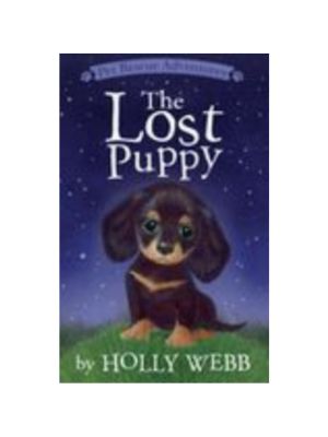 Lost Puppy