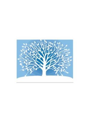 Note Cards