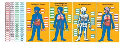 Human Body Charts
