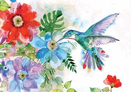 Hummingbird Garden Note Cards