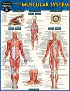 Anatomy of the Muscular System: A Quickstudy Laminated Reference Guide