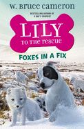 Lily to the Rescue: Foxes in a Fix (Lily to the Rescue! #7)